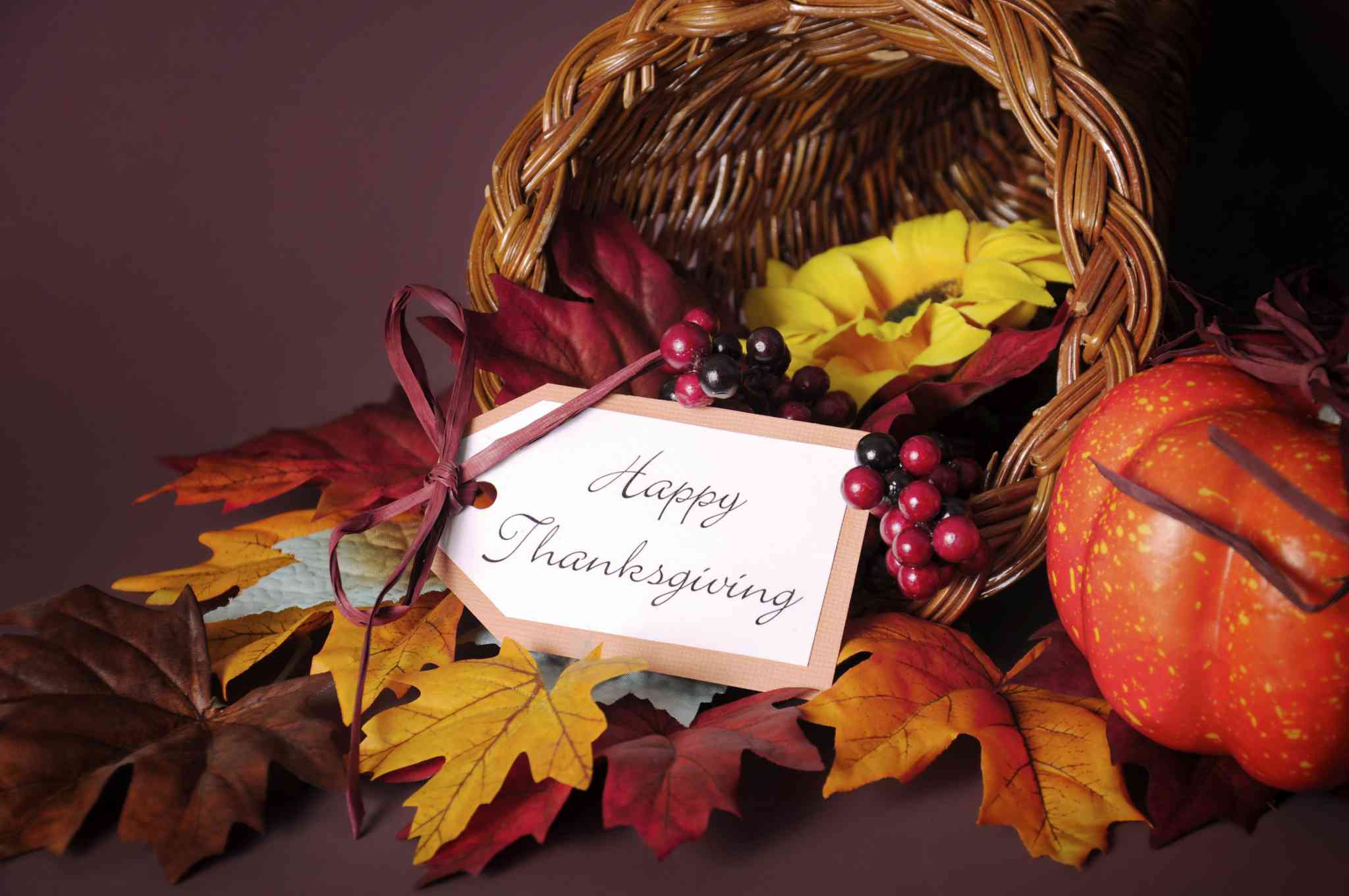thanksgiving
