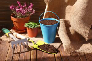 apartments of wildewood celebrate earth day in your apartment home apartments of wildewood celebrate earth day in your apartment home