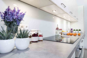 Eco-Friendly Apartment Living Ideas
