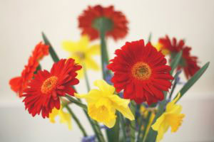apartments of wildewood get your apartment ready for spring apartments of wildewood get your apartment ready for spring