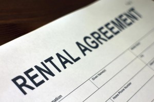 first time renter