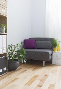 Apartments Plant benefits in the WInter