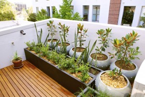 patio design