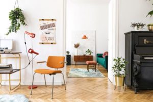 5 Plants That Can Enhance Your Apartment’s Décor
